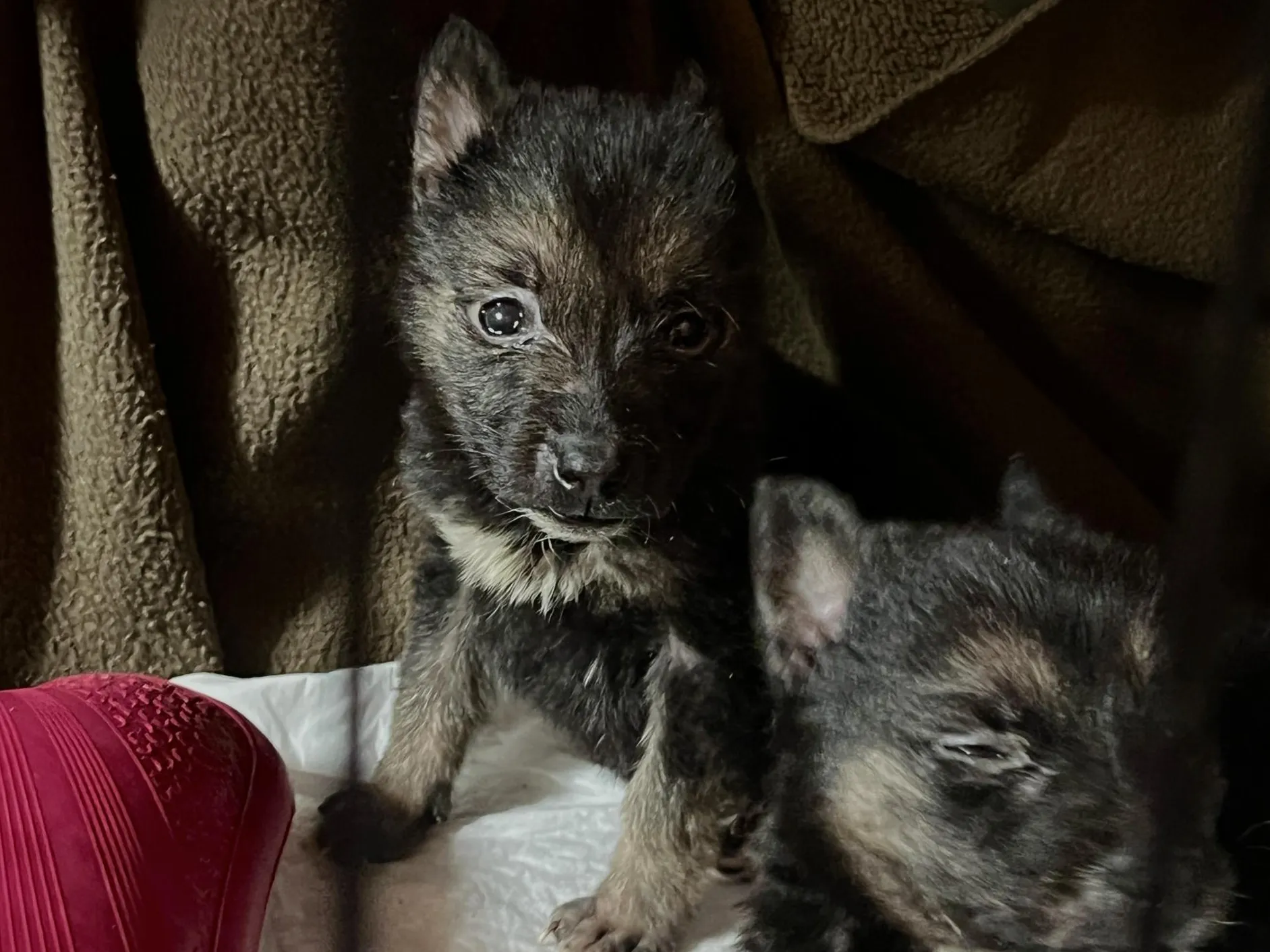 Фото: Анна Тюрюмина&nbsp;