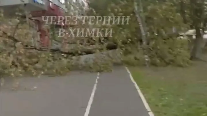 Социальные сети