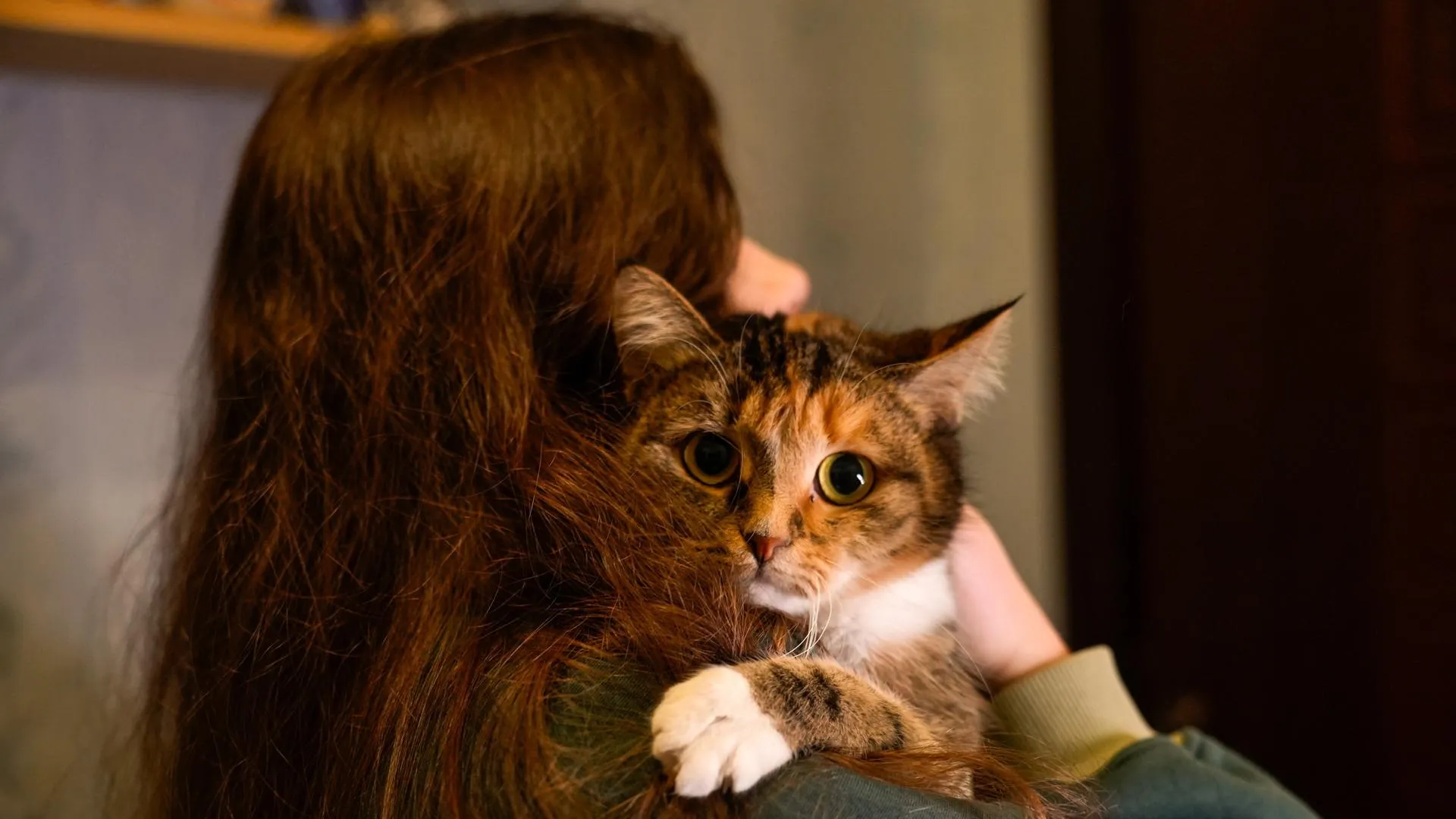 медиасток.рф