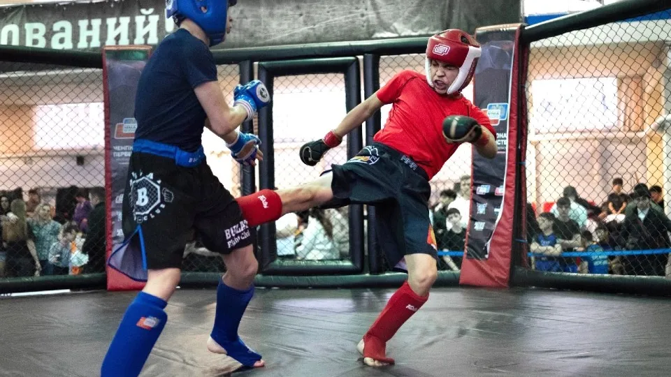 Фото: клуб смешанных единоборств «Дмитровская дружина»