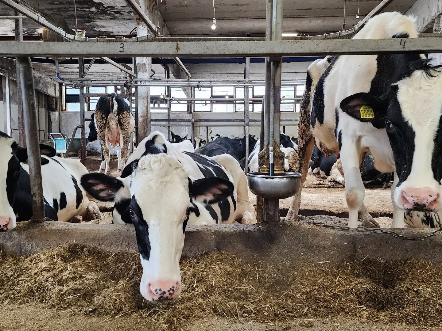 Фото: Ксения Пашуто