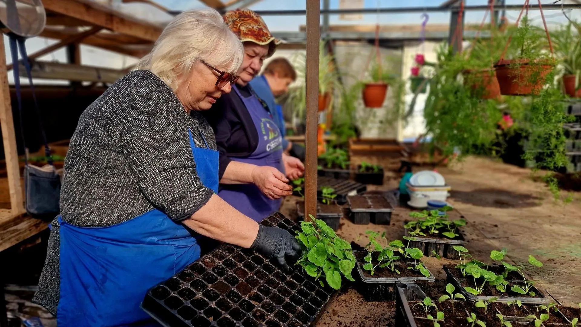 REGIONS/Ольга Шаронова