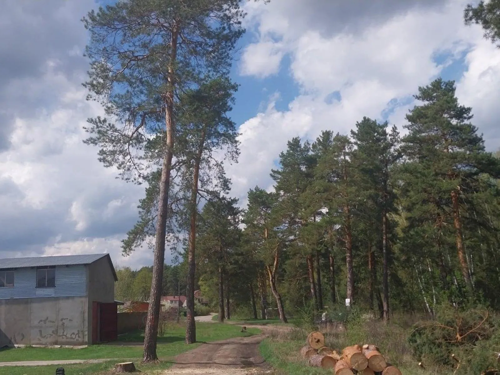 Фото: Ступинский филиал ГКУ МО «Мособллес»