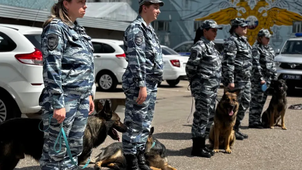 Фото: пресс-служба УМВД России по Одинцовскому городскому округу