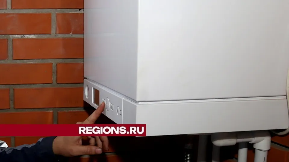 Фото: REGIONS/Александр Дрожжин