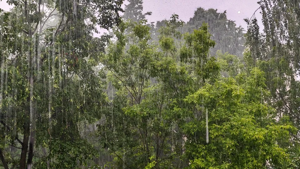 Фото: REGIONS/Алексей Селиверстов