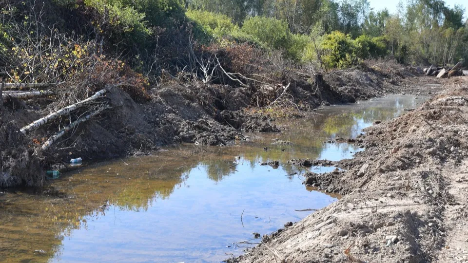 Фото: пресс-служба администрации Дмитровского м.о.