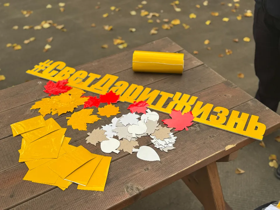 Фото: Отдел Госавтоинспекции ОМВД «Лотошинский»