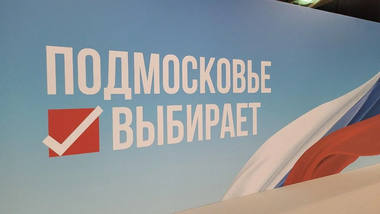 Явка на выборах в Подмосковье на 10:00 составила 3,75%