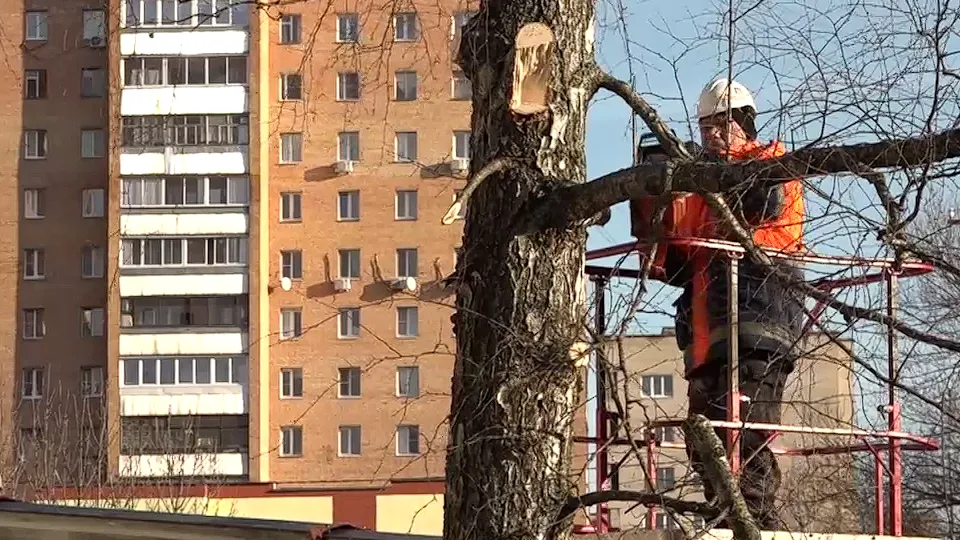 Фото: телеканал «Дубна»