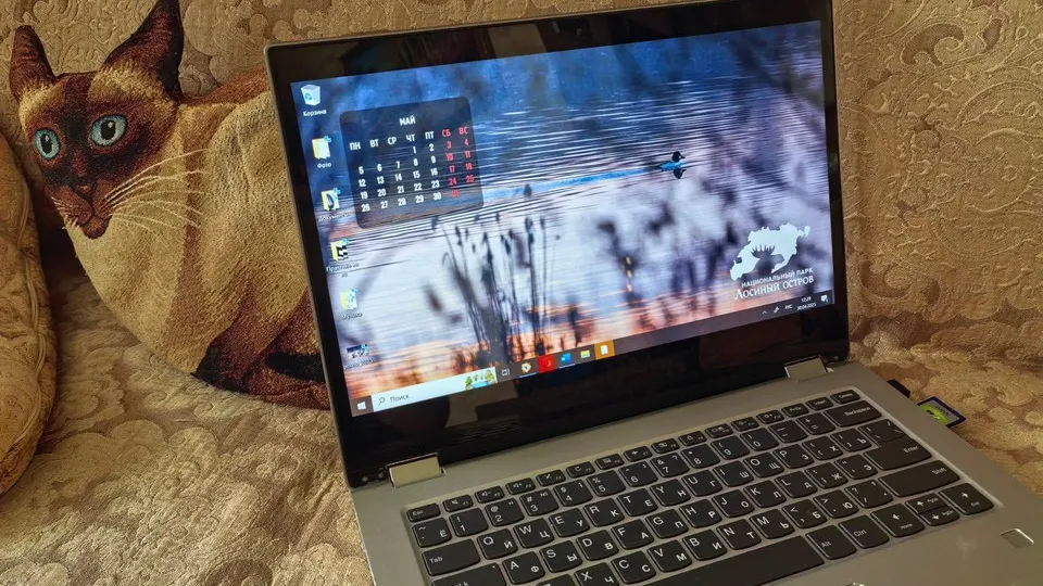 Фото: REGIONS/Александра Никитина