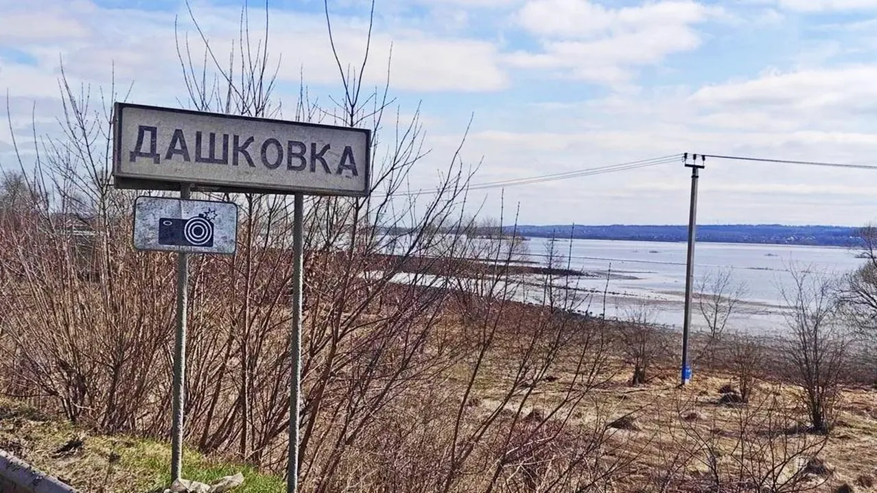 REGIONS/Алексей Селиверстов