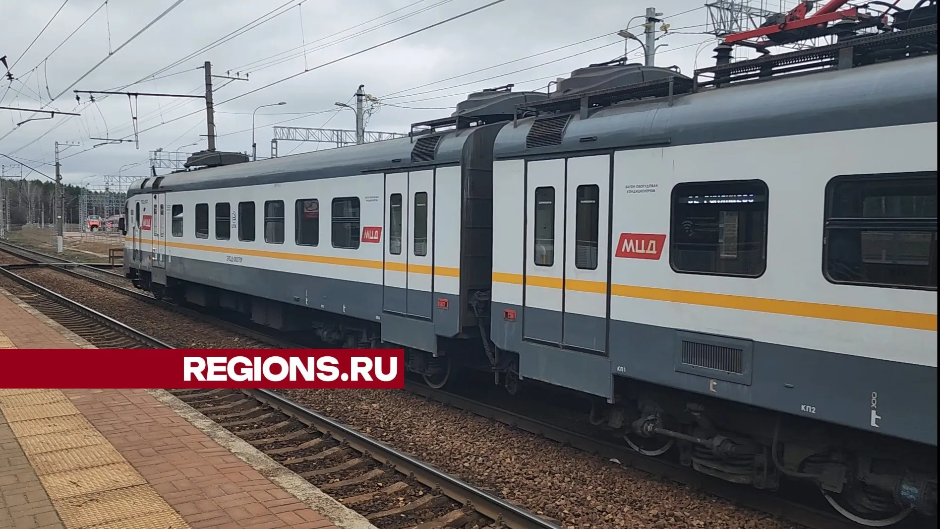 Фото: Светлана Борщева