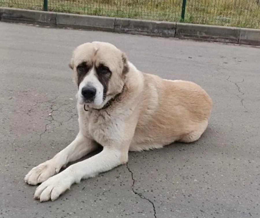 Социальные сети