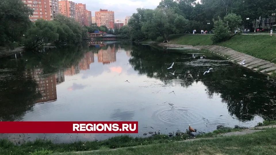 Фото: REGIONS/Дарья Назарова