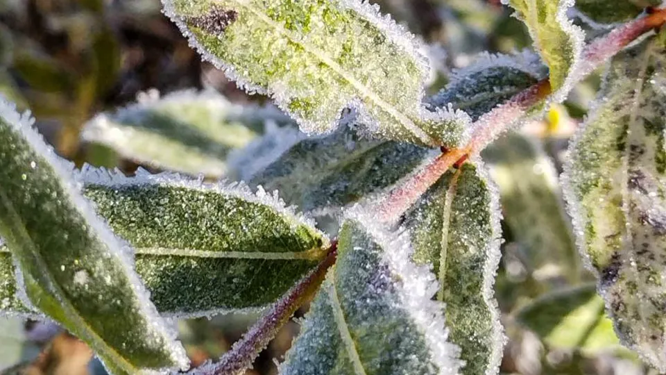 Фото: REGIONS/Роман Малышенко