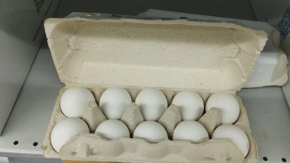 Фото: Дмитрий Роман