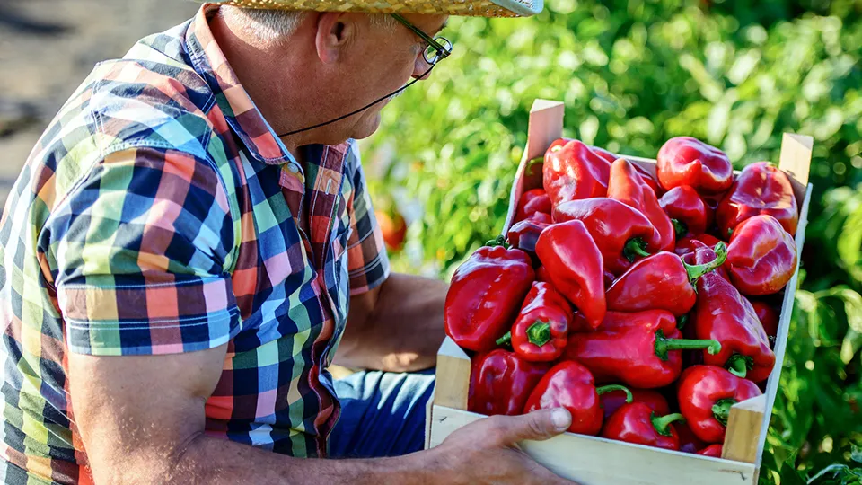 Фото: istockphoto.com