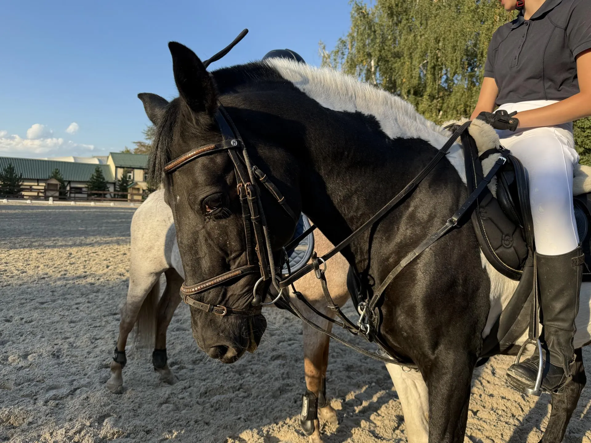 Фото: МедиаБанк Подмосковья/Анна Дука