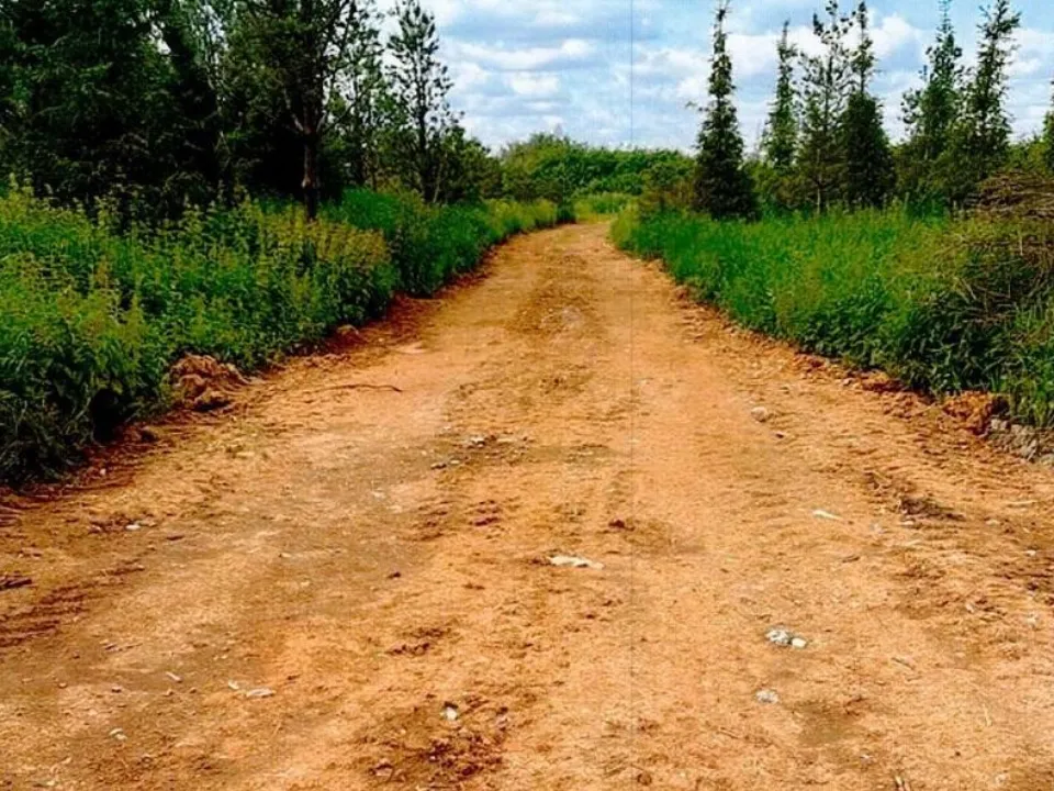 Фото: Министерство экологии и природопользования Московской области