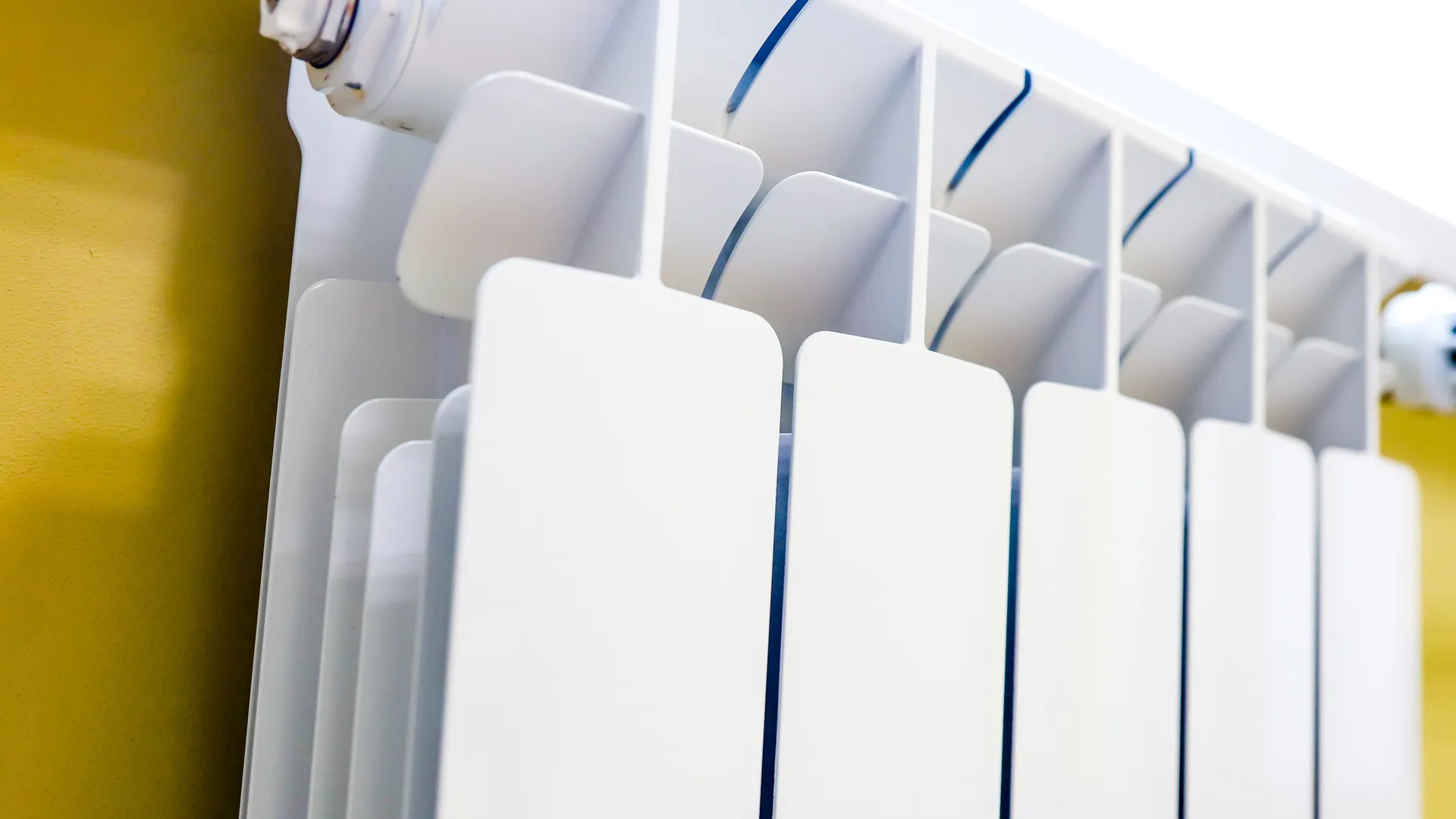 Фото: пресс-служба администрации г.о. Кашира