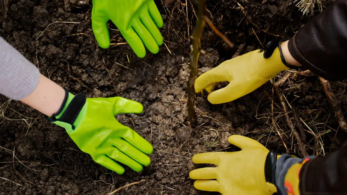 Фото: freepik.com