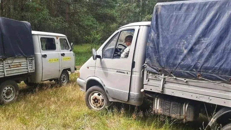 Жители Коломны помогли предотвратить загрязнение леса строительным мусором