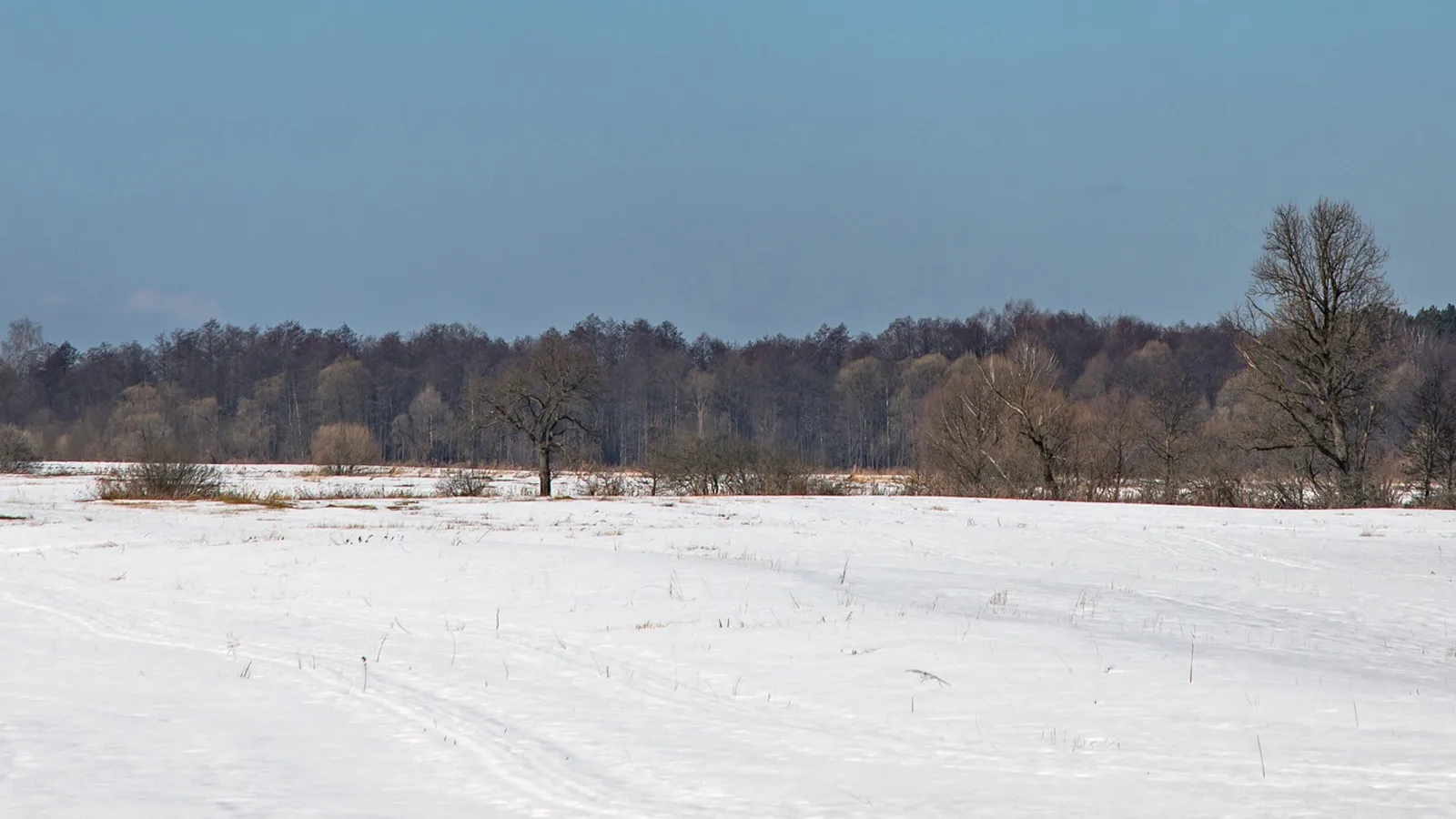 Фото: Антон Кондратюк