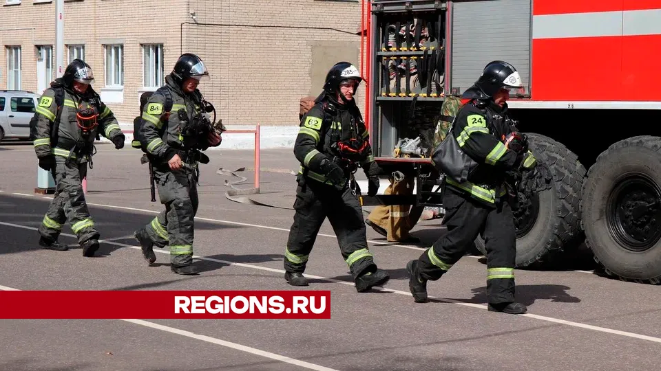 Фото: REGIONS/Василий Тремасов