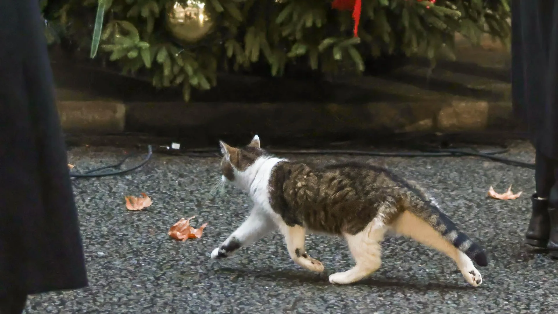 Martyn Wheatley/i-Images