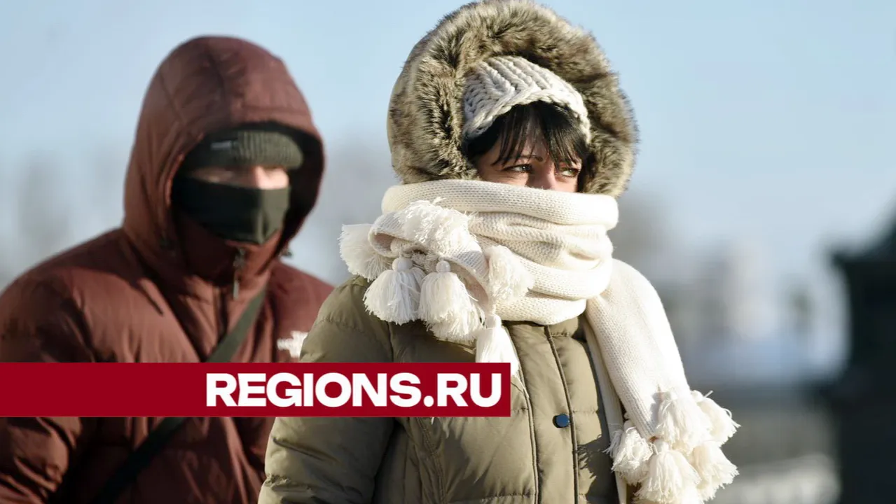 медиасток.рф