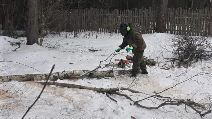 Комитет лесного хозяйства МО