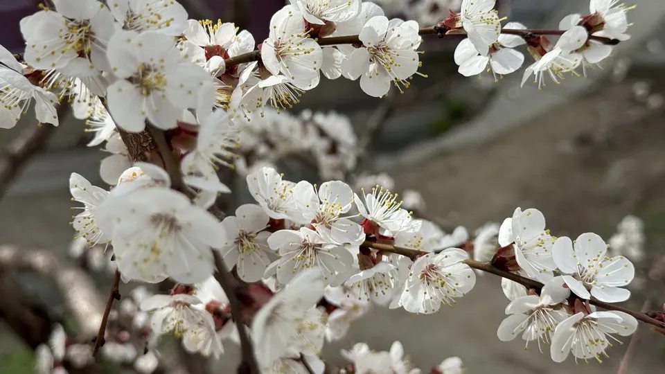 Фото: Александр Легкий