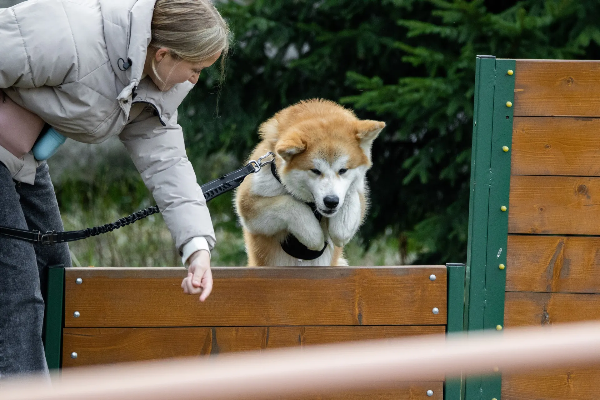 фото: Вероника Баранова