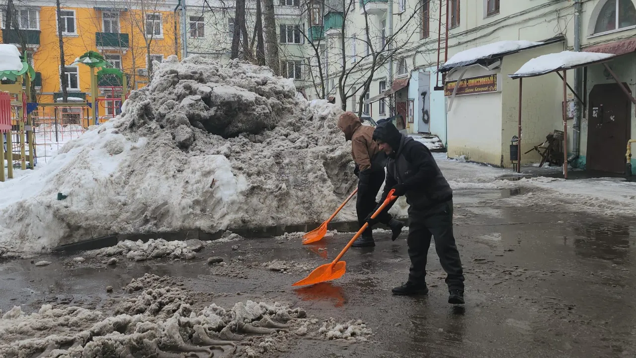 МедиаБанк Подмосковья/Наталья Лымарь