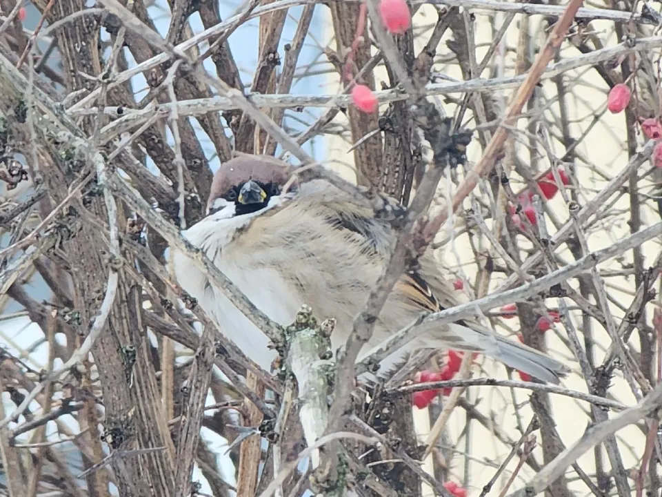 Фото: МедиаБанк Подмосковья/Марина Анисимова