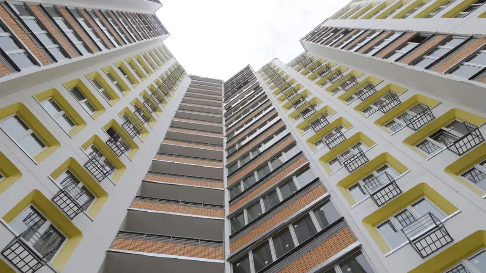 Фото: пресс-служба губернатора и правительства Московской области