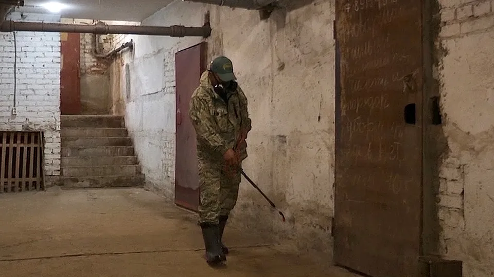 Фото: МедиаБанк Подмосковья/Данила Кирьянов