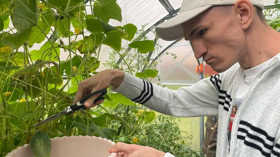 Фото: Министерство социального развития Московской области