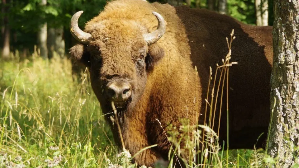 Фото: пресс-служба администрации Серпухова