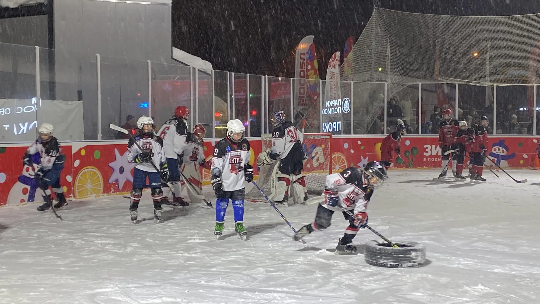 Анна Артюшина