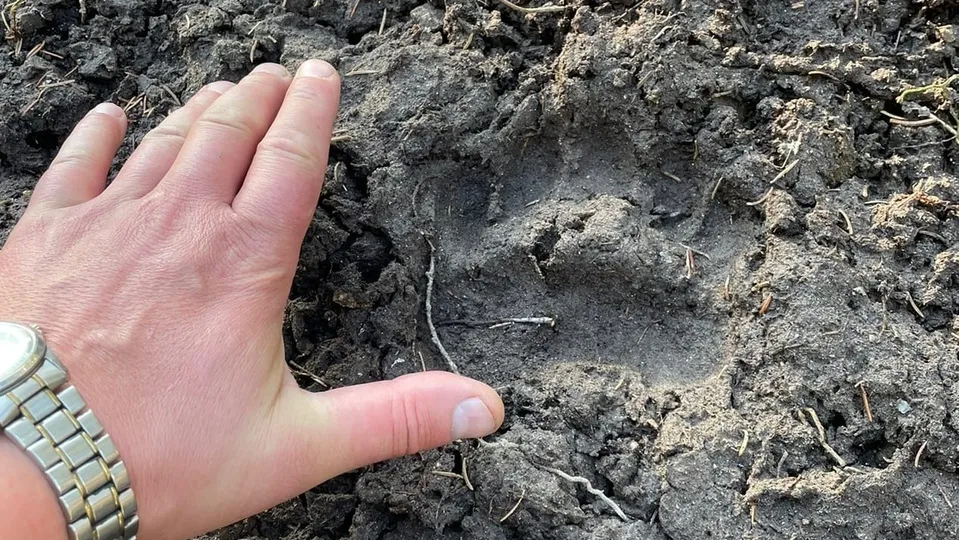 Фото: Сергей Лысенко