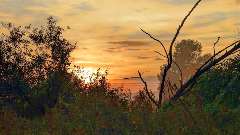 Фото: REGIONS/Алексей Селиверстов