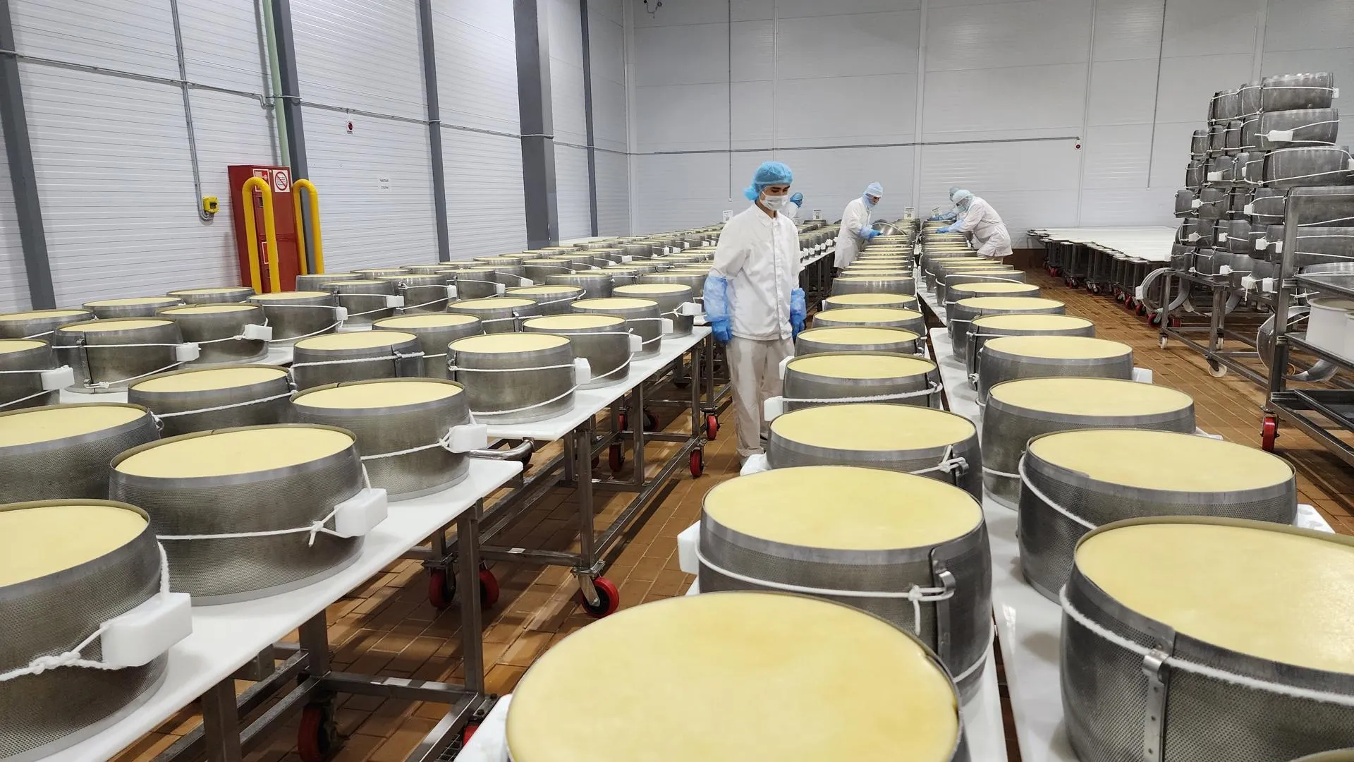 REGIONS/Евгений Рой