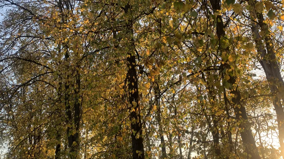 Фото: Анастасия Завертайло