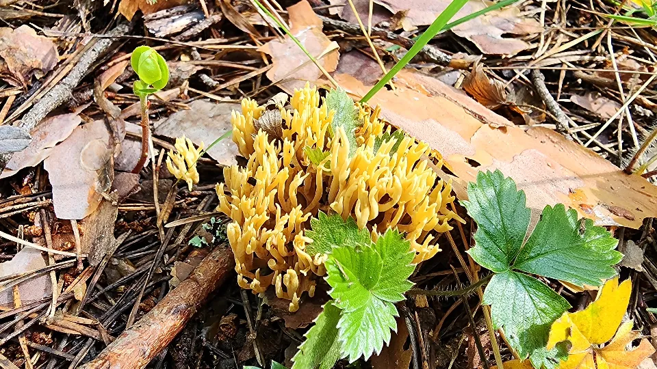 Фото: МедиаБанк Подмосковья/Михаил Мартыненко