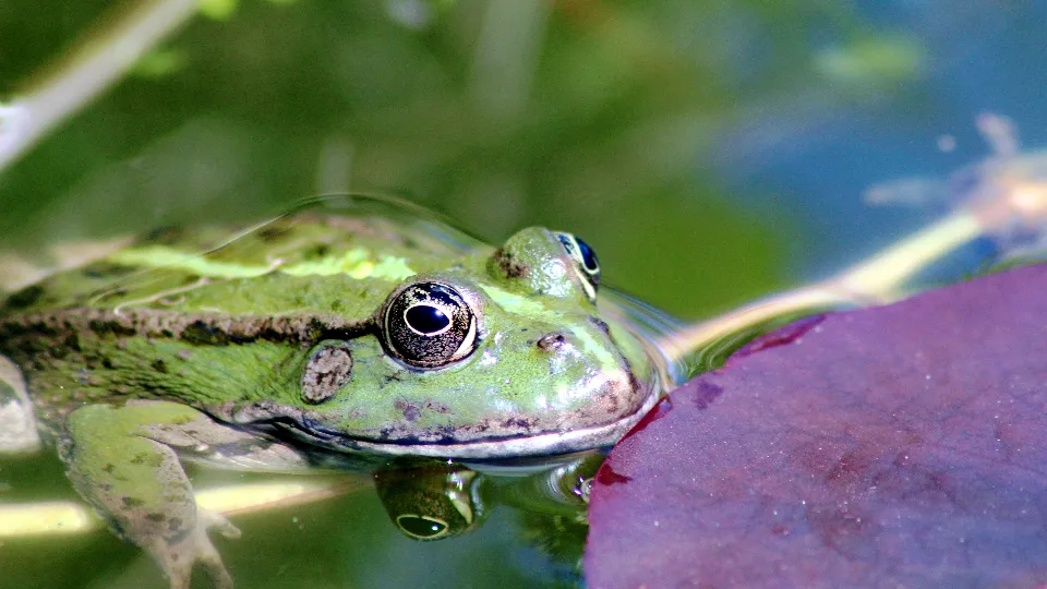 Фото: freepik.com