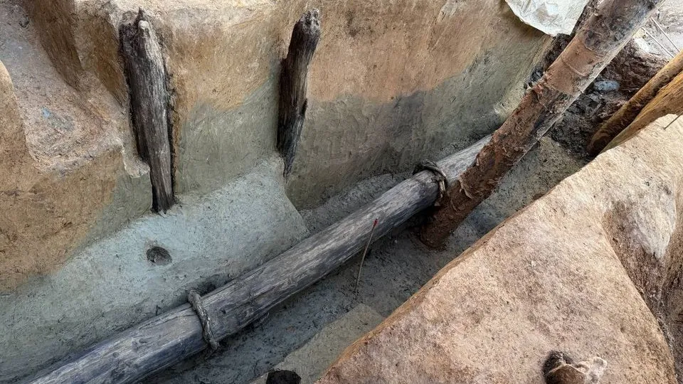 Фото: t.me/sapakhomovGD