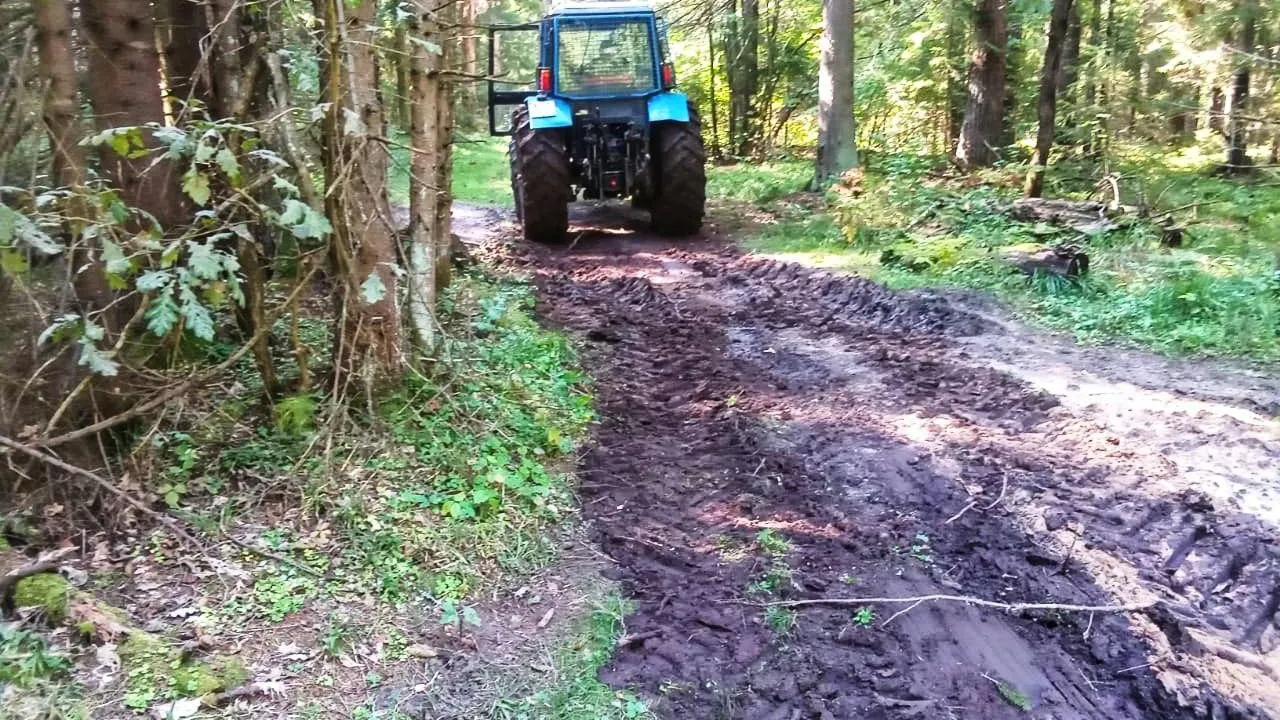 Фото: пресс-служба Администрации г.о. Дмитров