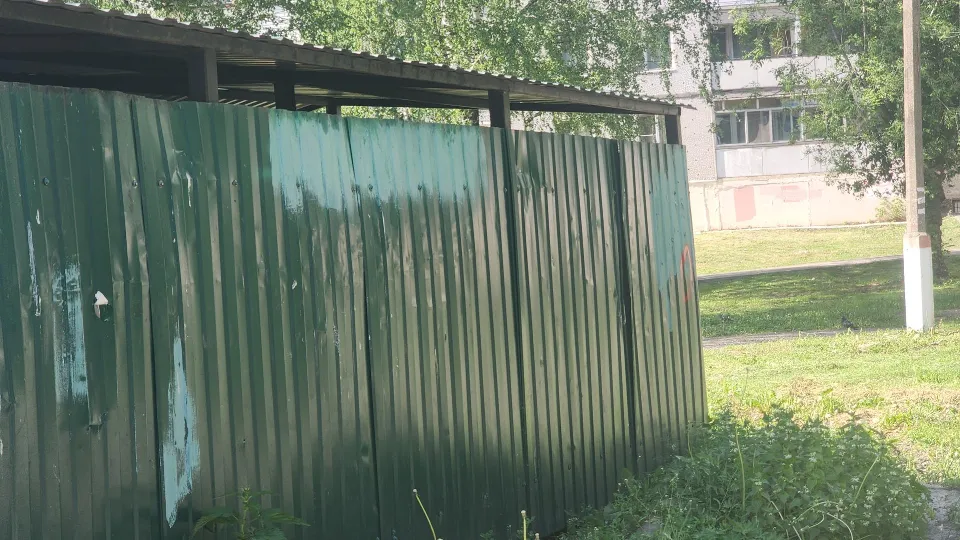 Алена Притула